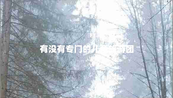 有沒有專門的兒童旅游團