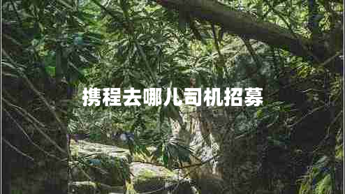 攜程去哪兒司機(jī)招募