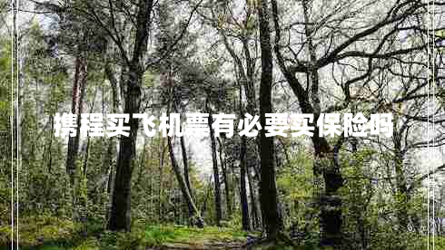 攜程買飛機(jī)票有必要買保險嗎 攜程買飛機(jī)票有必要買保險嗎