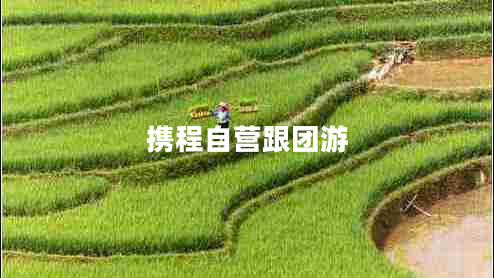 攜程自營(yíng)跟團(tuán)游