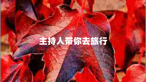 主持人帶你去旅行