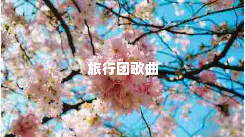 旅行團(tuán)歌曲