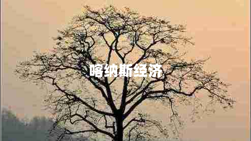 喀納斯經(jīng)濟(jì)