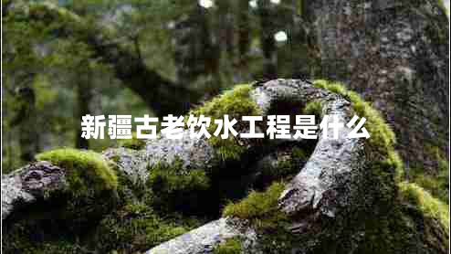 新疆古老飲水工程是什么