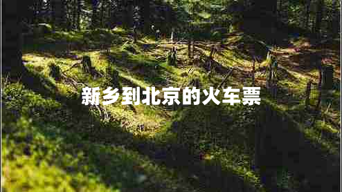 新鄉(xiāng)到北京的火車票