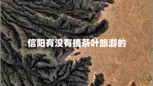 信陽有沒有摘茶葉旅游的