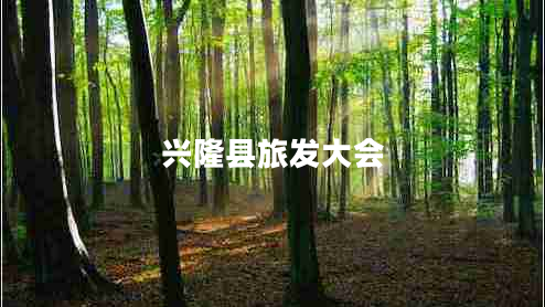 興隆縣旅發(fā)大會