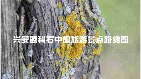 興安盟科右中旗旅游景點路線圖