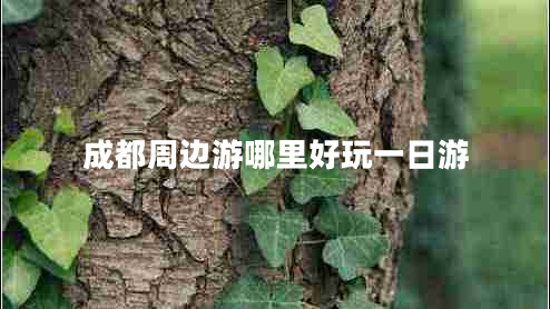 成都周邊游哪里好玩一日游