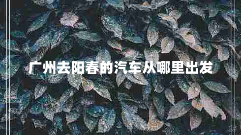 廣州去陽(yáng)春的汽車(chē)從哪里出發(fā)
