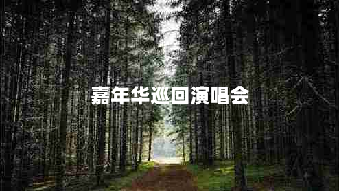 嘉年華巡回演唱會(huì)