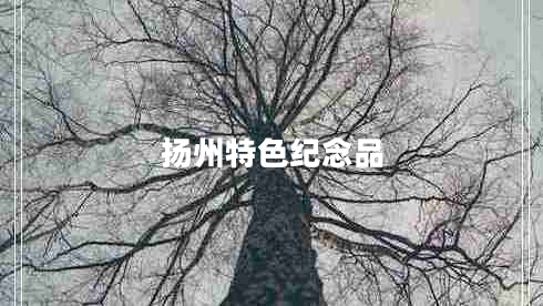 揚(yáng)州特色紀(jì)念品