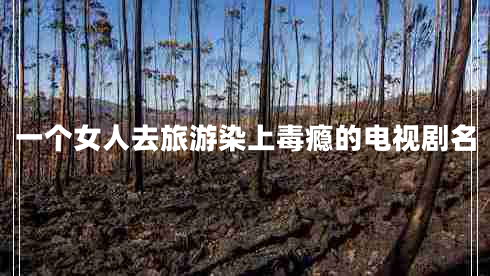 一個(gè)女人去旅游染上毒癮的電視劇名