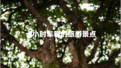 一小時車程的旅游景點