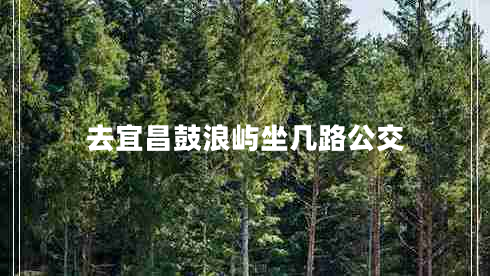 去宜昌鼓浪嶼坐幾路公交