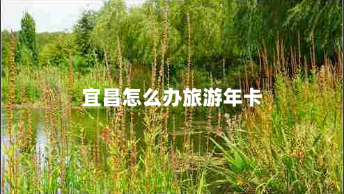 宜昌怎么辦旅游年卡