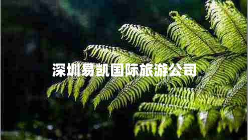 深圳易凱國(guó)際旅游公司