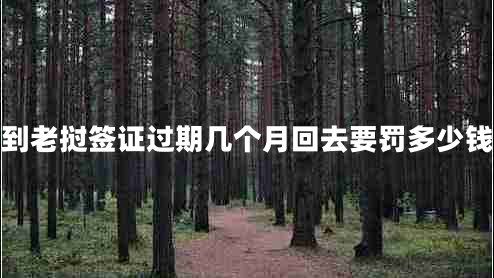 到老撾簽證過期幾個月回去要罰多少錢