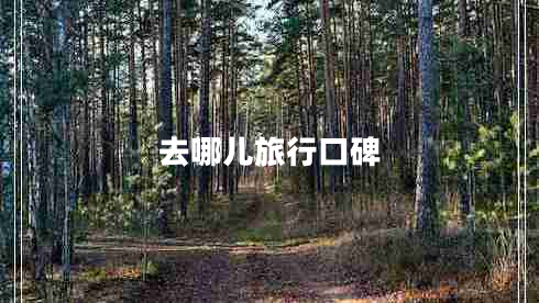 去哪兒旅行口碑