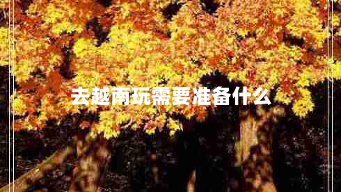 去越南玩需要準(zhǔn)備什么