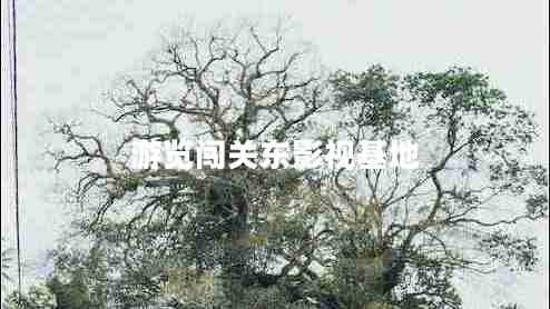 游覽闖關(guān)東影視基地