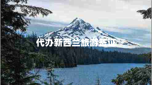 代辦新西蘭旅游簽證