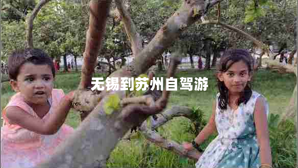 無錫到蘇州自駕游