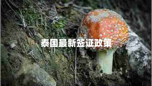 泰國最新簽證政策