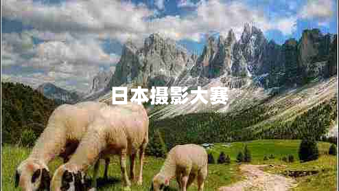 日本攝影大賽