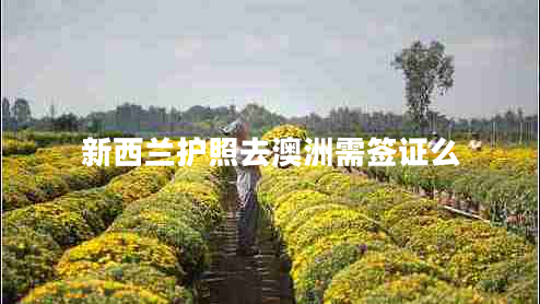 新西蘭護(hù)照去澳洲需簽證么