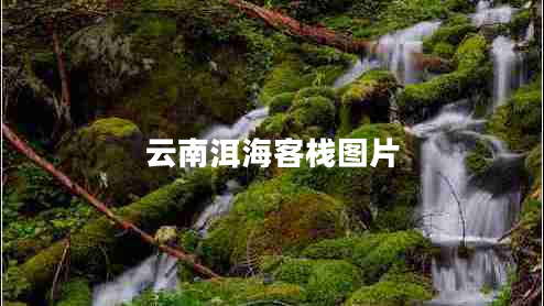 云南洱海客棧圖片