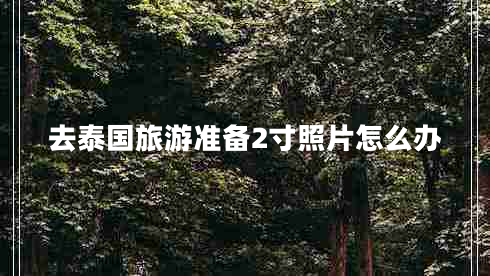 去泰國旅游準備2寸照片怎么辦