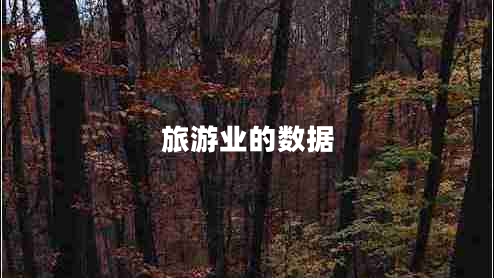 旅游業(yè)的數(shù)據(jù) 旅游業(yè)的數(shù)據(jù)