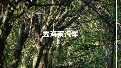 去海南汽車