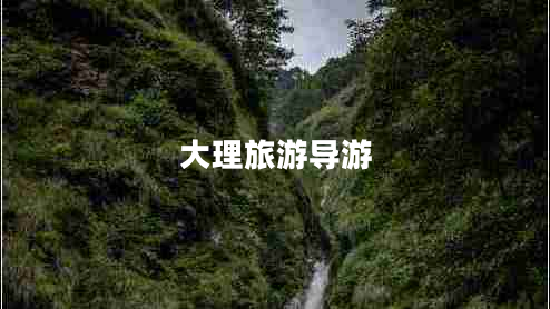大理旅游導(dǎo)游