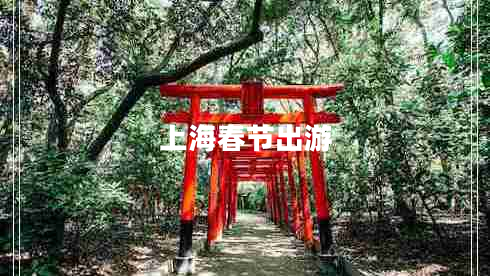 上海春節(jié)出游