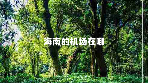 海南的機(jī)場在哪