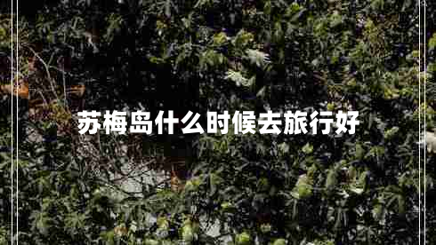 蘇梅島什么時候去旅行好