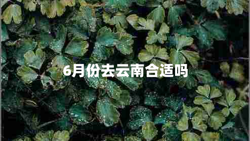 6月份去云南合適嗎