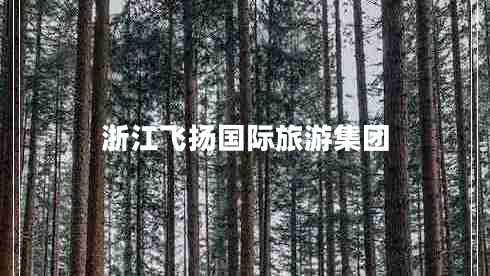 浙江飛揚(yáng)國際旅游集團(tuán)