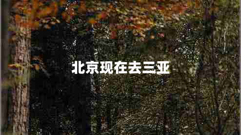 北京現(xiàn)在去三亞 北京現(xiàn)在去三亞