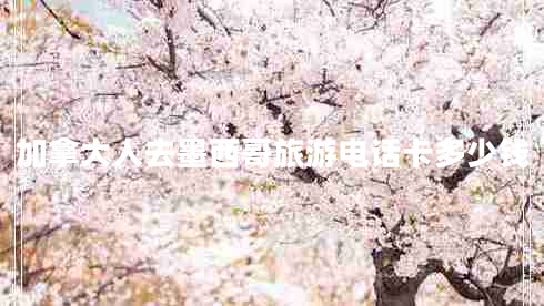 加拿大人去墨西哥旅游電話卡多少錢