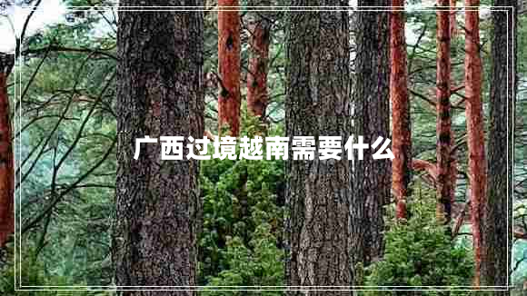 廣西過(guò)境越南需要什么 廣西過(guò)境越南需要什么