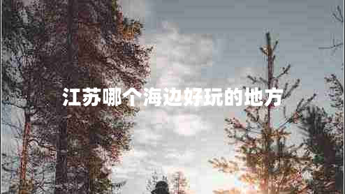 江蘇哪個(gè)海邊好玩的地方