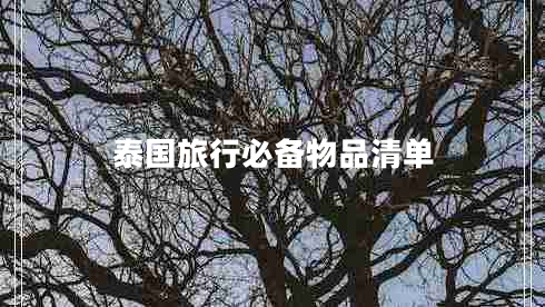 泰國旅行必備物品清單