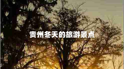 貴州冬天的旅游景點