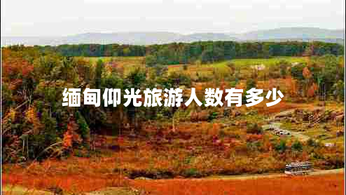 緬甸仰光旅游人數(shù)有多少