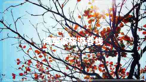 汽車(chē)票旅游專(zhuān)線