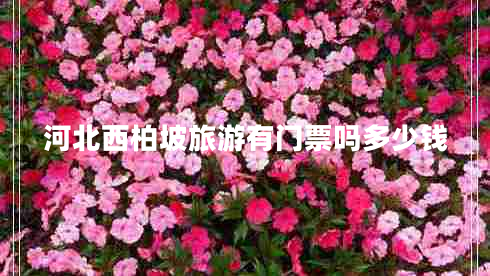 河北西柏坡旅游有門票嗎多少錢