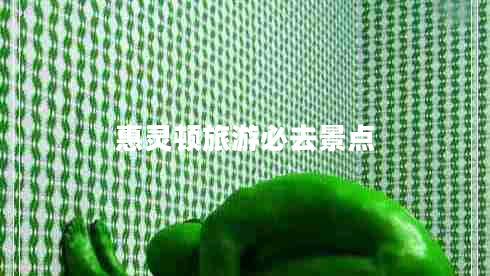 惠靈頓旅游必去景點(diǎn)